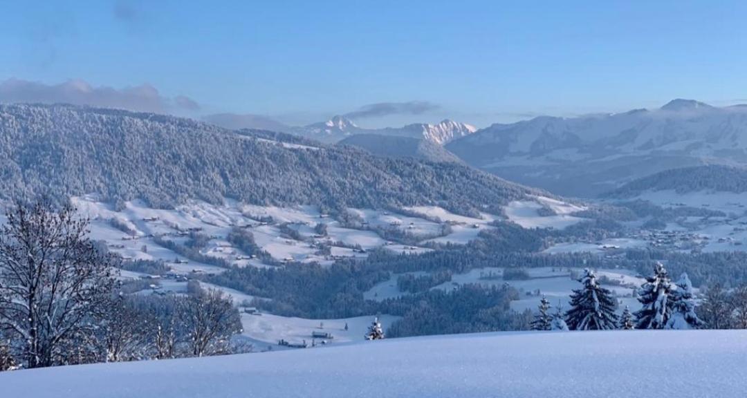 Fruehstueckspension Bilgeri Sulzberg  Buitenkant foto